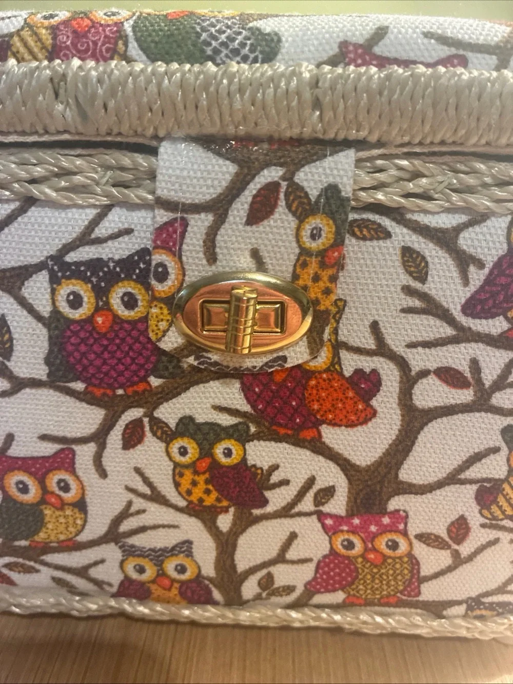 Owl Print Seeing  Box in Cream and Multicolor